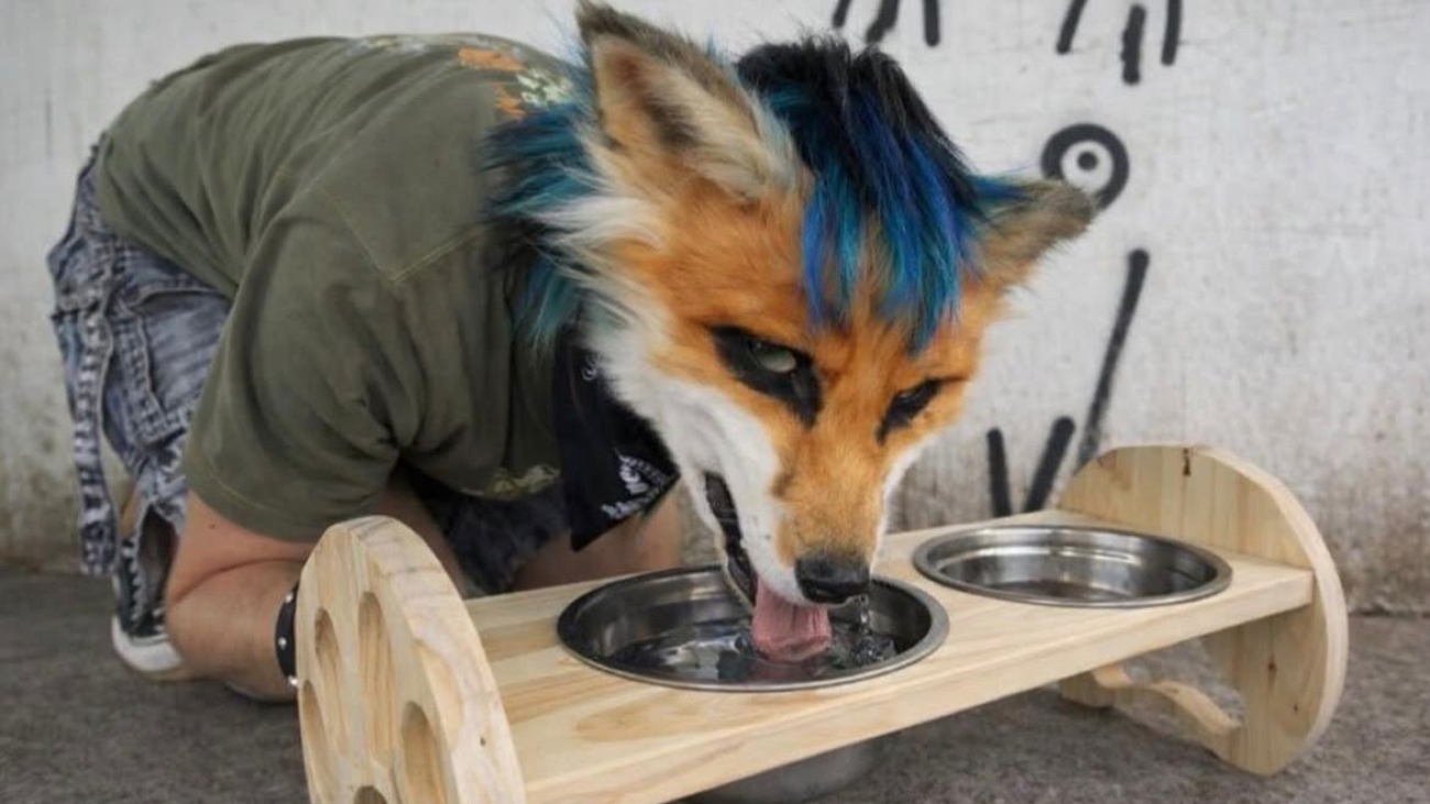 Artículo de José Garcés Investigación LAUICOM