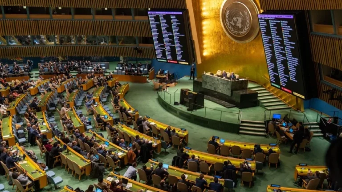 sesion-asamblea-onu-768x511 (1)