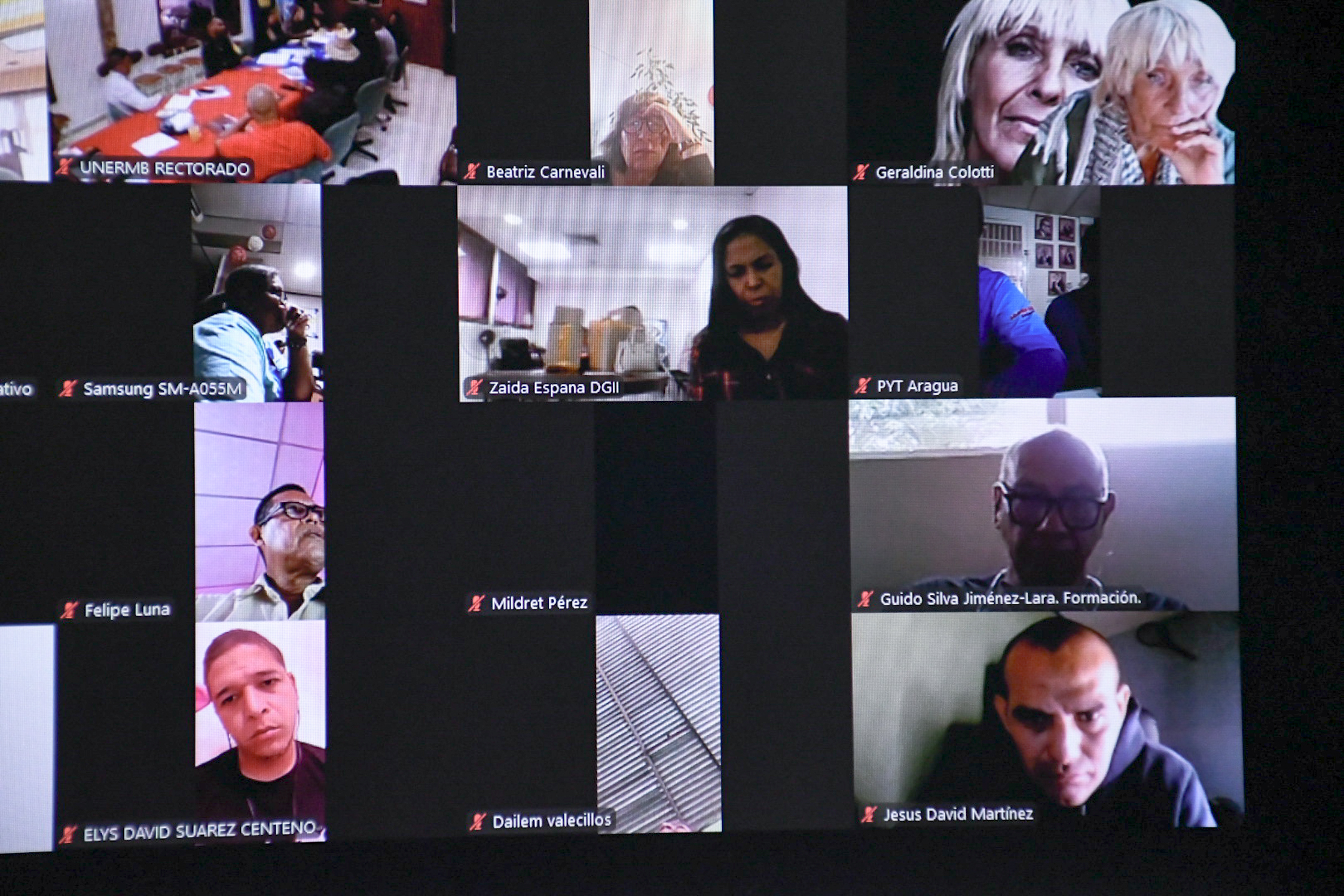Participantes zoom en videoconferencia sobre soberanía y marxismo